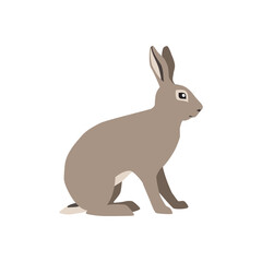 Fototapeta na wymiar Animal illustration. Sitting hare drawn in a flat style. Isolated object on a white background. Vector 10 EPS