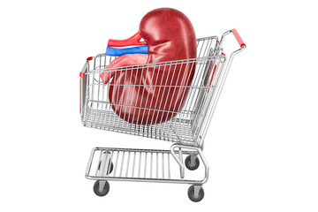 Human Kidney inside shopping cart, 3D rendering