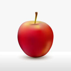 Vector red apple isolated,vector illustration