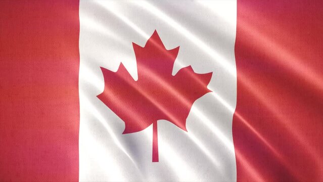 Realistic waving flag of Canada Animation. 4K