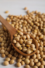 Wooden spoon with soy seeds, close up