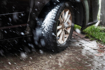 car wheel in winter tires in bad weather with snow when the grass turns green. Anomalous natural...