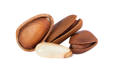 Pine nuts on white background. Pine nuts in shell