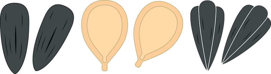 pumpkin and sunflower seeds, icons on transparent background