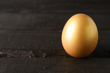 Golden egg, pension savings, investments, retirement, space for text