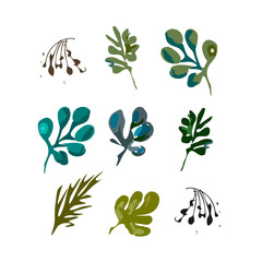 isolated vector illustration. Forest wild plant branches types. 