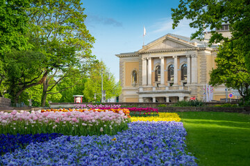 Oper in Halle Saale mit Blumenbeet im Frühling - 586497861
