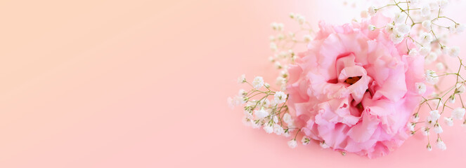 Close up image of delicate pink flowers over pastel background. Selective focus