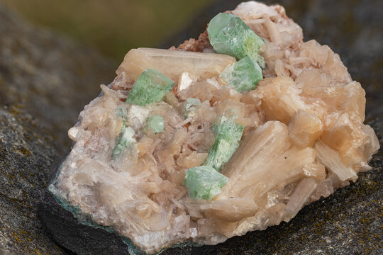mineral specimen of apophyllite and stilbite