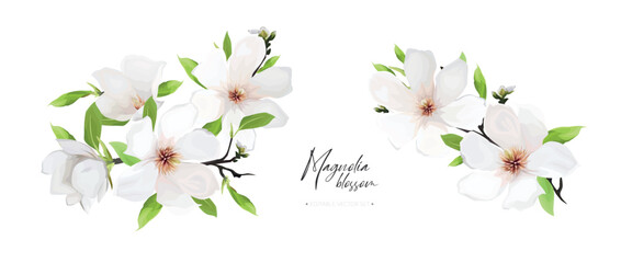 Elegant spring magnolia flowers bouquet set. Blooming branches, green leaves editable floral watercolor style vector Illustration. Stylish minimalist greeting, invite card decoration isolated on white © Alewiena