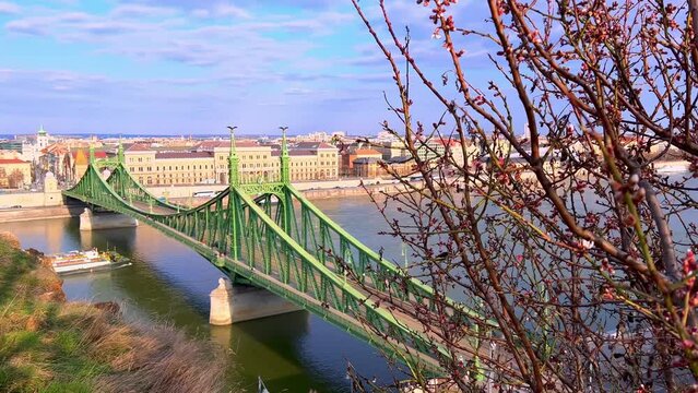 Spring tree branches against Liberty Bridge, Budapest, Hungary