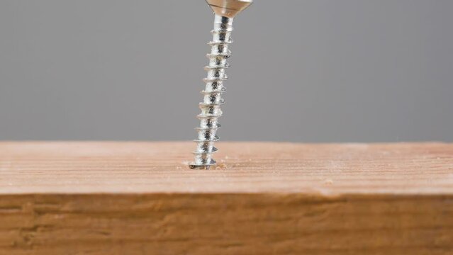 Screwdriver tightening screw in wood close up