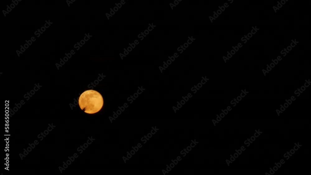 Poster timelapse of red full moon showing behind a palm tree with a black background