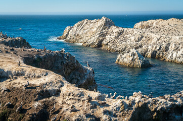 Fototapeta na wymiar Rock Formations and Ocean at Point Lobos State Natural Reserve