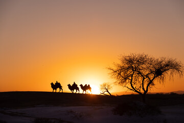Fototapeta na wymiar silhouette of camels at the Mini-Gobi desert,Tasarkhai,Mongolia