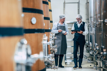 Winemaker working in modern large winery factory liquor drink industry quality and fermentation...
