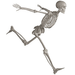 skeleton posing 3d render illustration with transparent background
