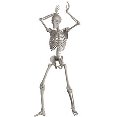 skeleton posing 3d render illustration with transparent background