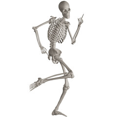 skeleton posing 3d render illustration with transparent background