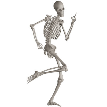 skeleton posing 3d render illustration with transparent background