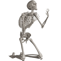 skeleton posing 3d render illustration with transparent background