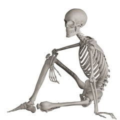 skeleton posing 3d render illustration with transparent background