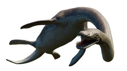 Elasmosaurus, genus of plesiosaur from the Late Cretaceous period, isolated on transparent background 