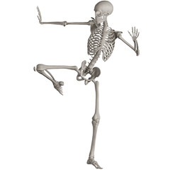 skeleton posing 3d render illustration with transparent background