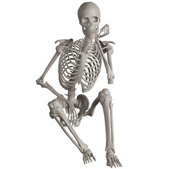 skeleton posing 3d render illustration with transparent background