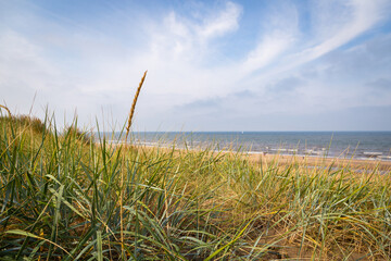  Zandvoort in Holland  - obrazy, fototapety, plakaty