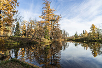 Autumn landscape on a sunny day, on the lake. Priyutino, Leningrad Region, Northwest Russia