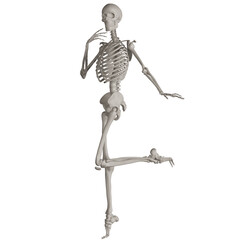 skeleton posing 3d render illustration with transparent background