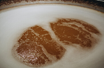 Process of fermentation and filtration of beer inside the vat.