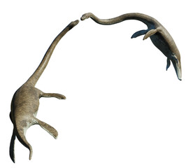 Elasmosaurus couple, majestic long-necked plesiosaurs swimming in the Cretaceous ocean, isolated on transparent background 
