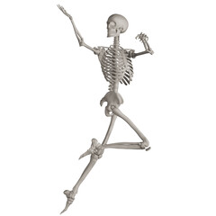 skeleton posing 3d render illustration with transparent background