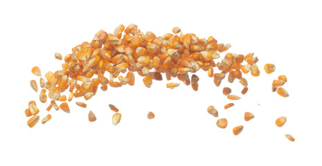 Corn dried seed grain fly in mid air. Yellow Golden corn seed falling scatter, explosion float in shape form line group. White background isolated freeze motion high speed shutter