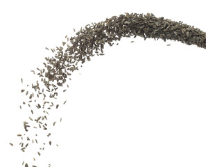 Fototapeta na wymiar Sunflower seed grain fly in air. Sunflower seed falling scatter, explosion float in shape form line group. White background isolated freeze motion high speed shutter