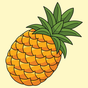 Pineapple Fruit Colored Cartoon Illustration
