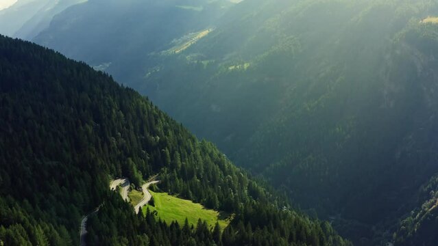 A road in the middle of green pine and fir forests, in Europe,  Switzerland