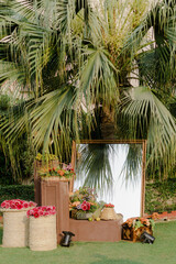 garden with palm trees