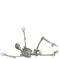skeleton posing 3d render illustration with transparent background