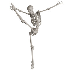 skeleton posing 3d render illustration with transparent background