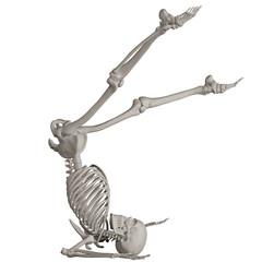skeleton posing 3d render illustration with transparent background