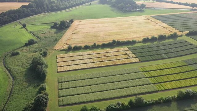 Aerial footage over the agricultural testing field  which provides a new perspective on modern farming practices. Agricultural testing field devided in plots for field trials.
