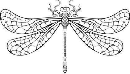 Patterned contour dragonfly - obrazy, fototapety, plakaty