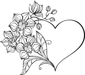 Favorite orchid © Nelli Valova