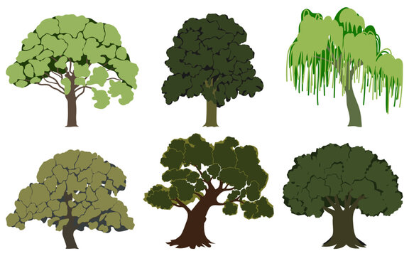 Green summer trees set. Oak, chestnut, willow, hornbeam, beech, ash. Vector illustration