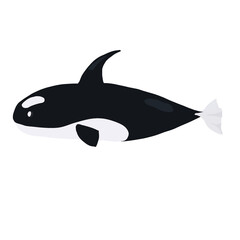 illustration of a shark, shark illustration, orca, killer whale