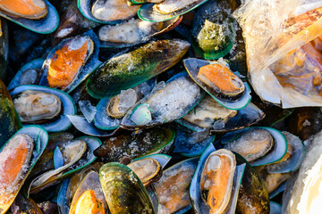 Halved oysters for sale at the fish market