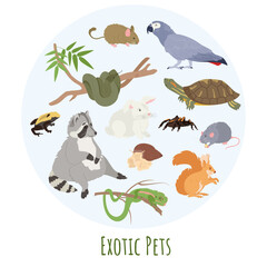 Exotic Pets And Fauna Concept